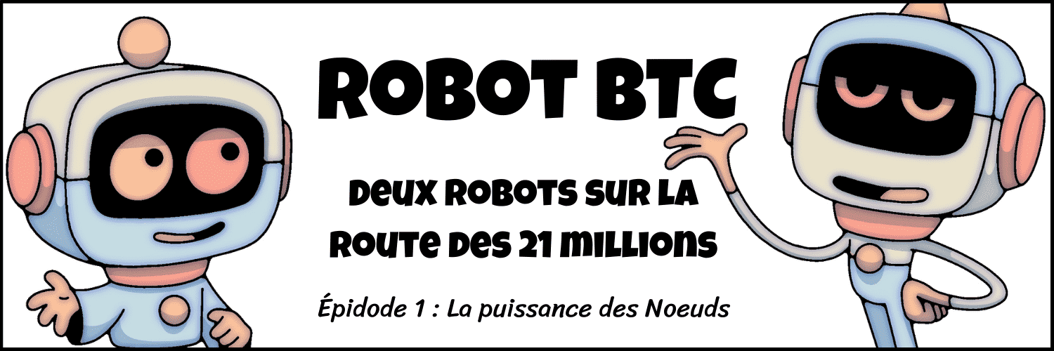 bd robot btc 1.1 2